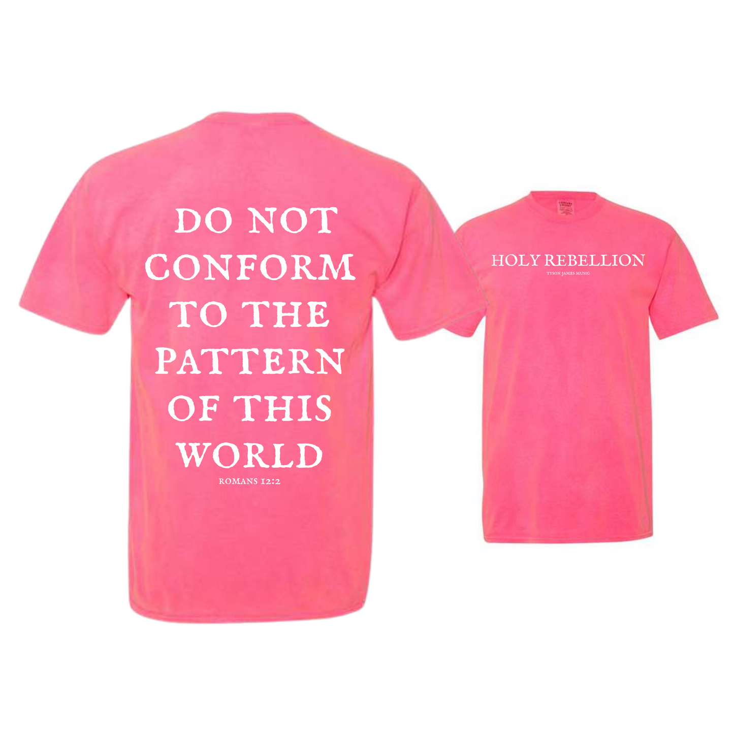 Holy Rebellion Dyed Heavyweight Tee