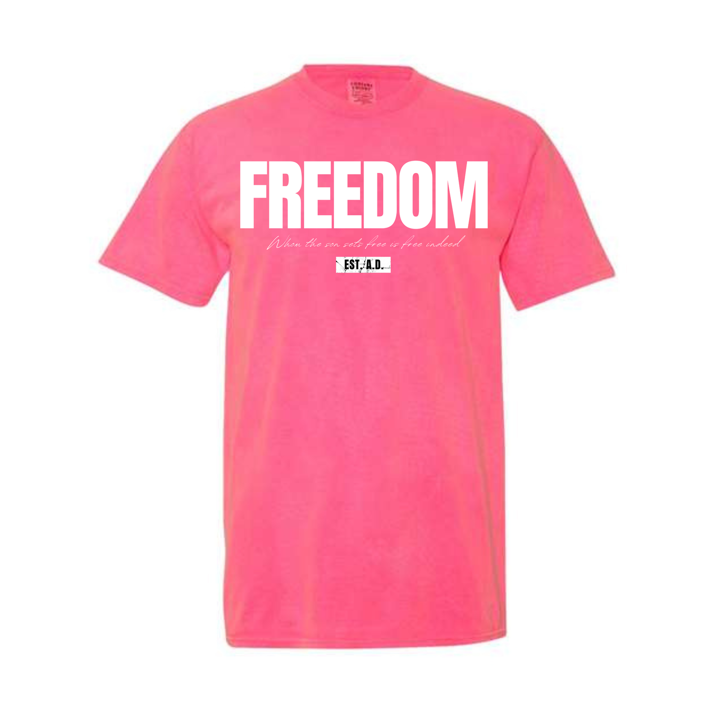 Freedom Dyed Heavyweight Tee