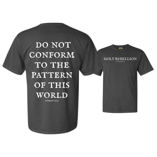 Holy Rebellion Dyed Heavyweight Tee
